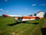 ICP Savannah VG
